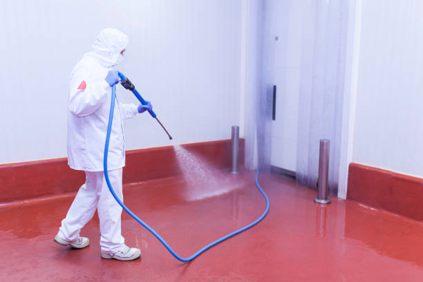 Best Driveway Pressure Washing  in Waverly, OH