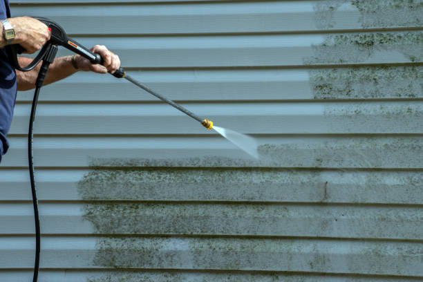 Best Roof Washing  in Waverly, OH